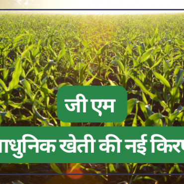 GM is the hope of Modern Agriculture